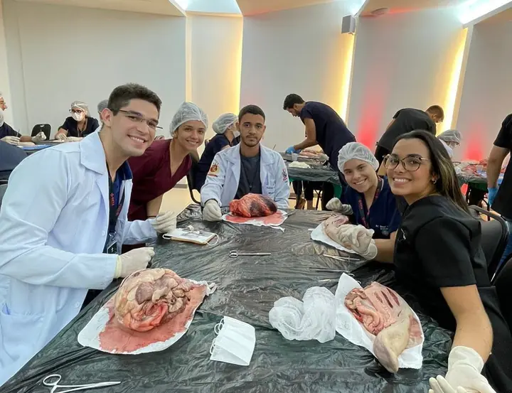 Alunos praticando suturas